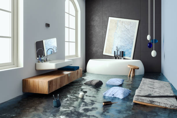 Best Flood damage cleanup  in Lacoste, TX
