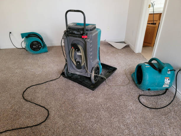 Water damage restoration experts in Lacoste, TX