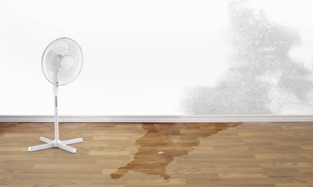 Best Water damage restoration near me  in Lacoste, TX