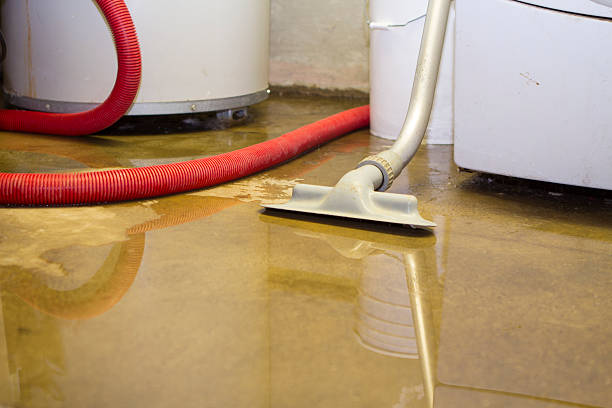 Best Professional water damage repair  in Lacoste, TX