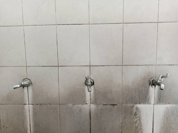 Best 24-hour water damage restoration  in Lacoste, TX
