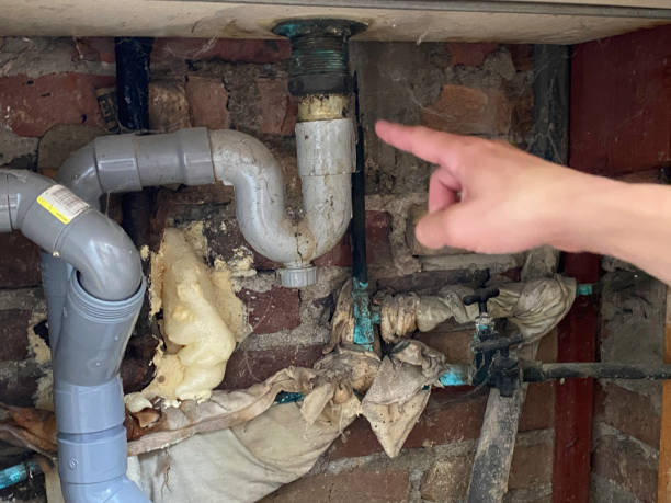 Best Water damage restoration cost  in Lacoste, TX