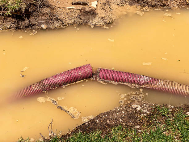 Water damage restoration insurance claims in Lacoste, TX