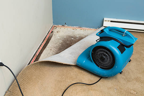 Local water damage restoration in Lacoste, TX